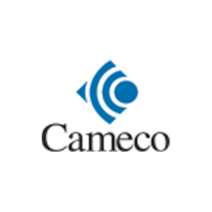 Item #85 Pickleball set from Cameco