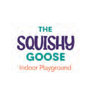 Item #29 $25 Gift Card to Squishy Goose