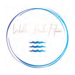 Item #95 Fitness Bands and a 30-minute class at Wicklow Beach Fitness